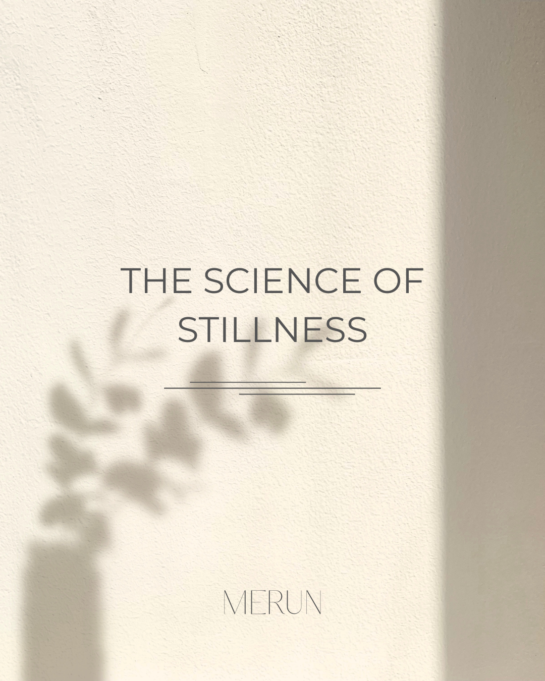 THE-SCIENCE-OF-STILLNESS